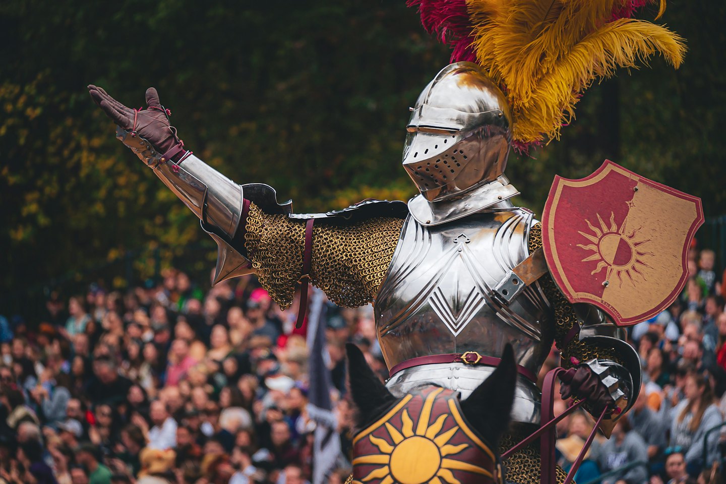 Knight in silver armor holds a sun-emblazoned shield.