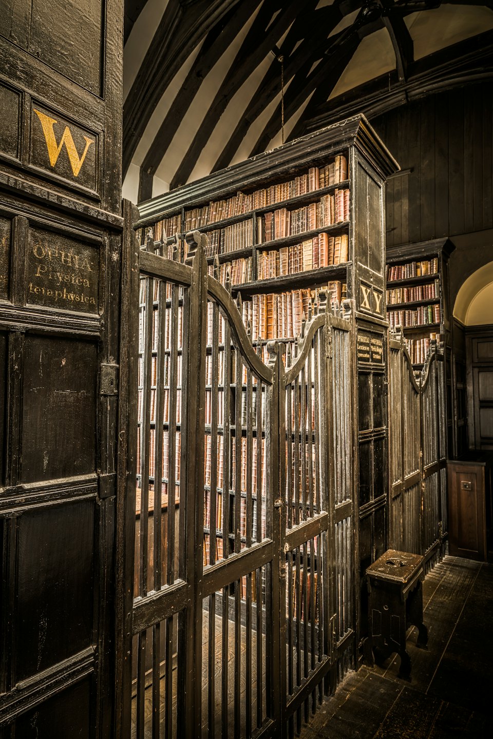 Ancient library with tall dark bookshelves and gold lettering.